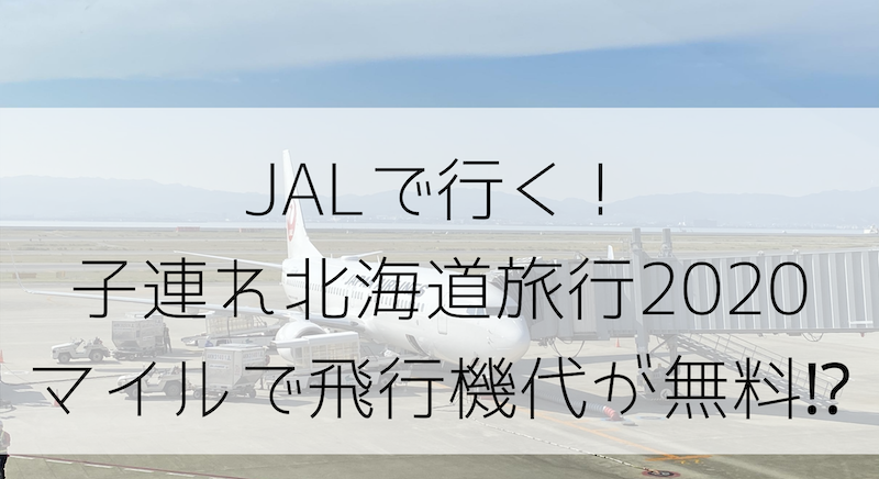 Jalマイルで無料で飛行機に乗る 子供連れ北海道旅行 関西空港ー新千歳空港 路線 Jalマイルを貯めて子連れ旅行を快適でラグジュアリーに行く方法節約旅行ブログ