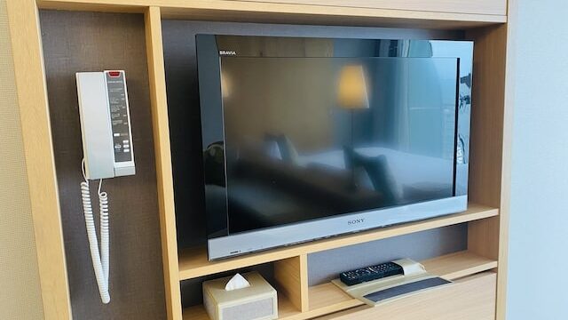 琵琶湖ホテルのテレビ