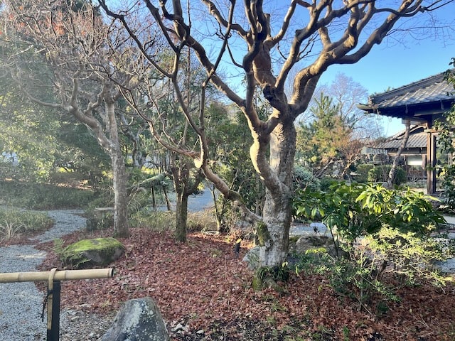 紫翠ラグジュアリーコレクションホテル奈良の庭園2